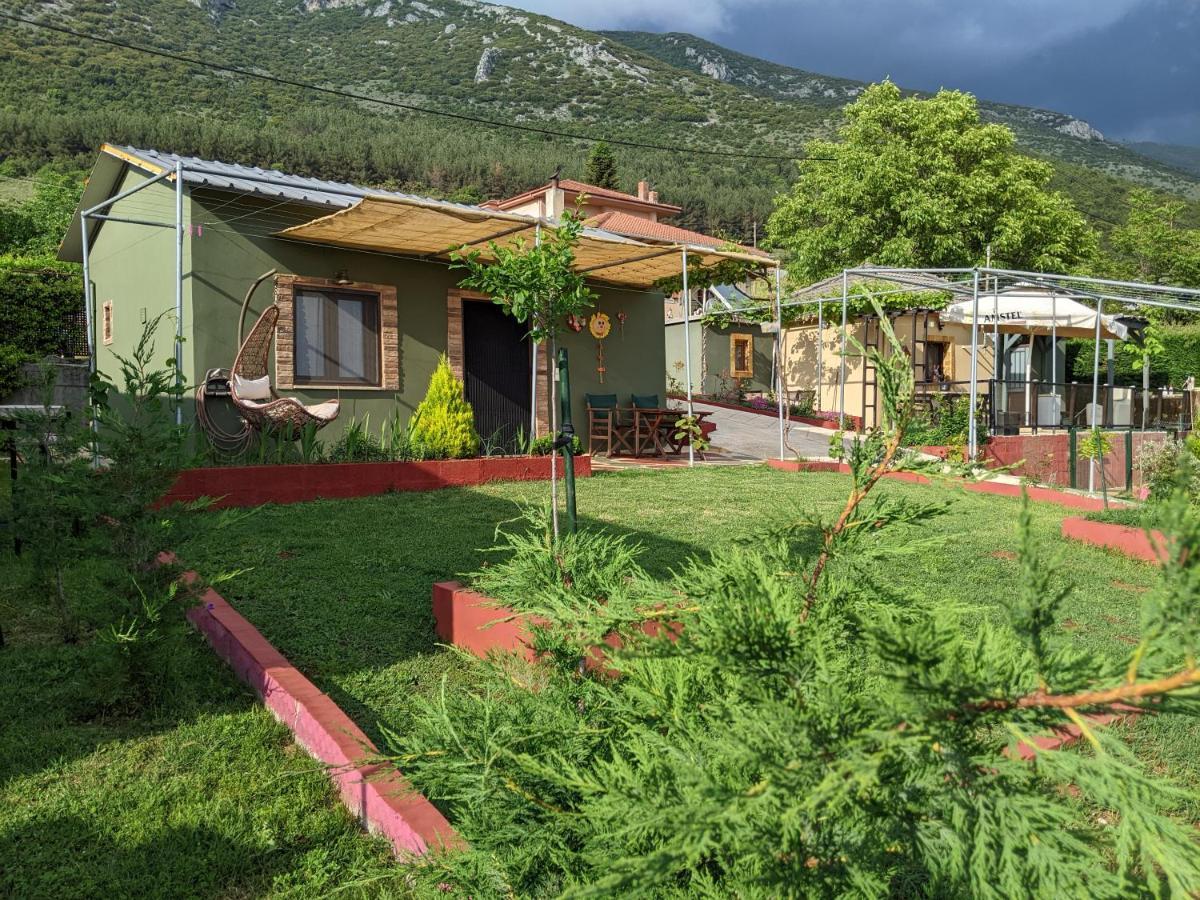 Valena'S House Apartment Ioannina Exterior photo