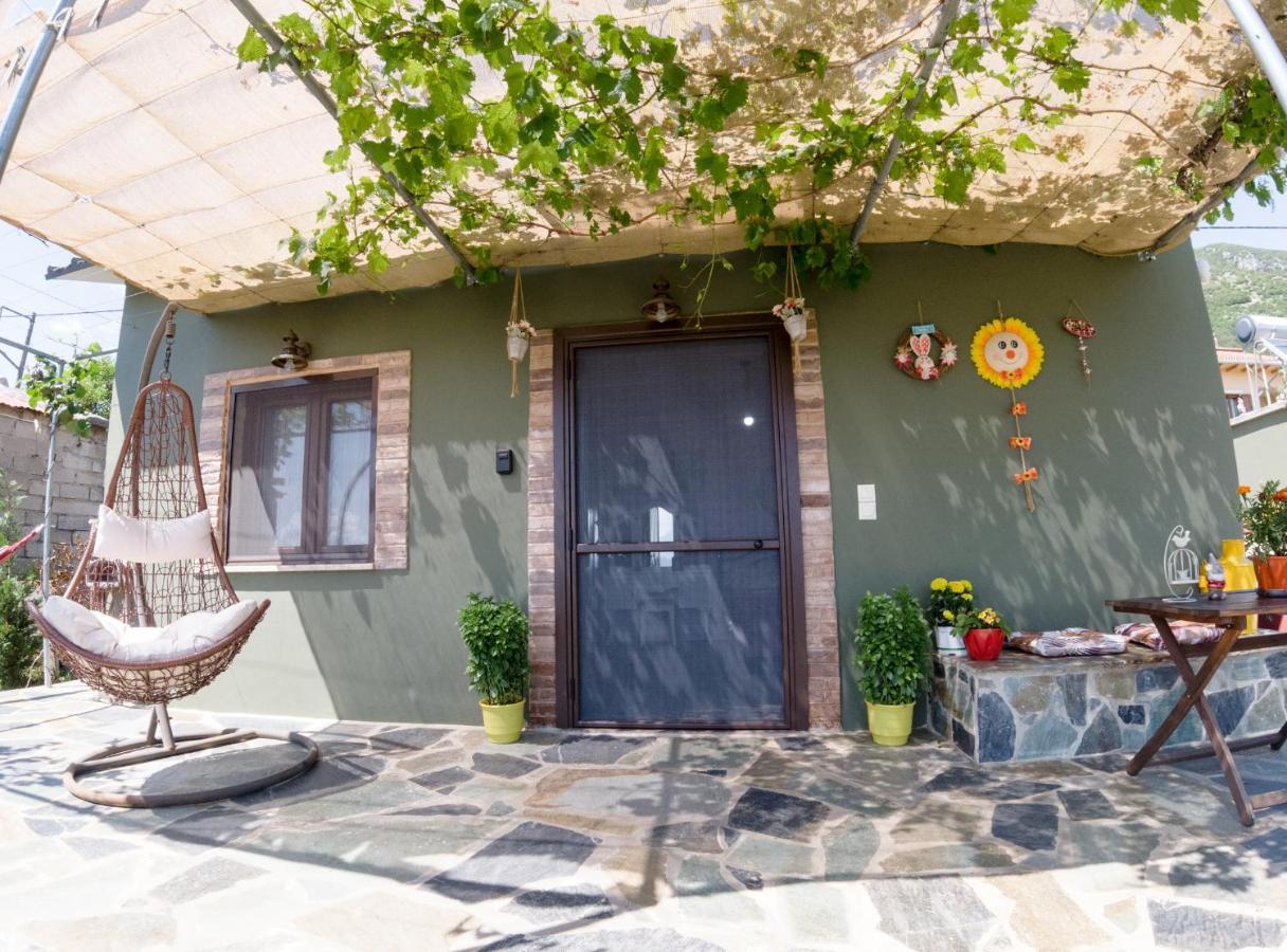 Valena'S House Apartment Ioannina Exterior photo