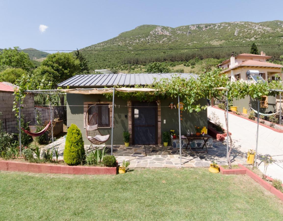 Valena'S House Apartment Ioannina Exterior photo