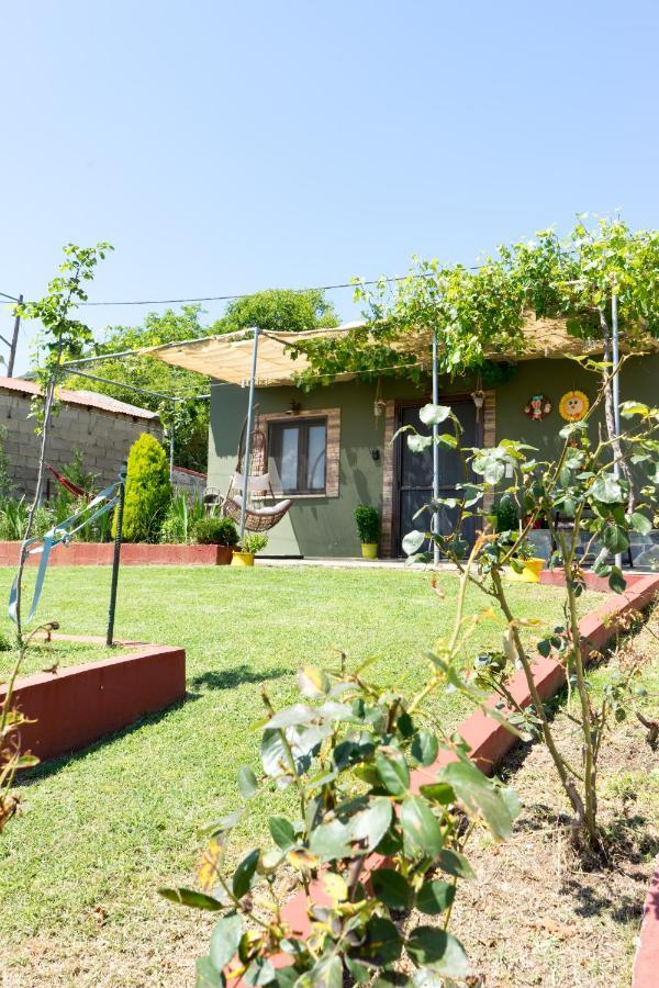 Valena'S House Apartment Ioannina Exterior photo
