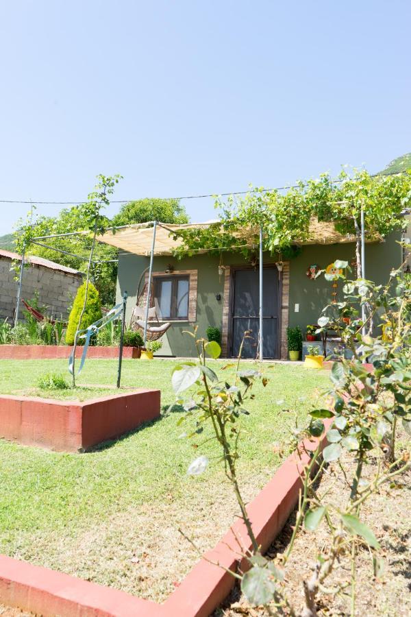 Valena'S House Apartment Ioannina Exterior photo
