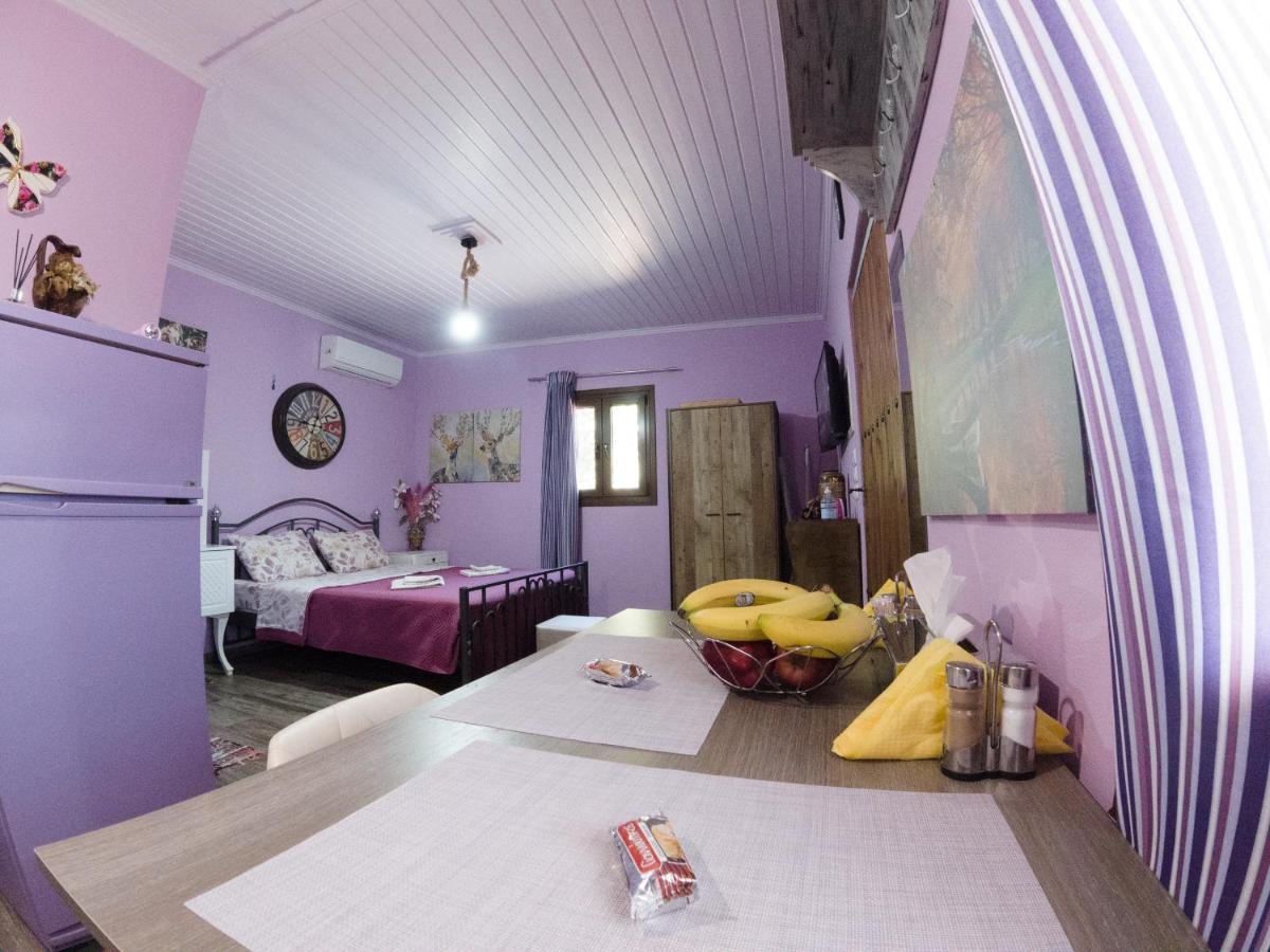 Valena'S House Apartment Ioannina Exterior photo