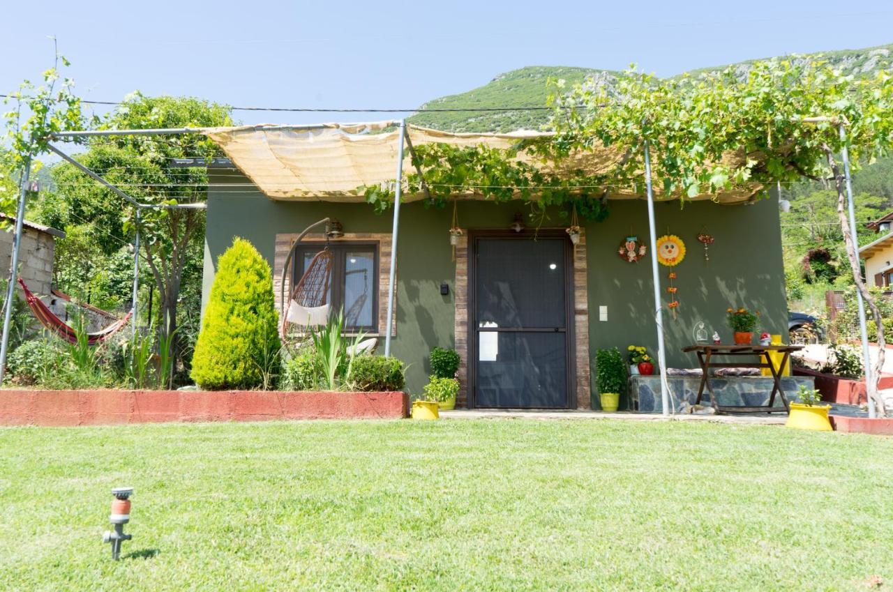 Valena'S House Apartment Ioannina Exterior photo